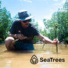 Man plants a mangrove for SeaTrees